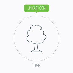 Tree icon. Forest wood sign.