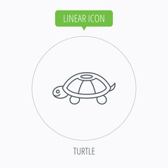 Turtle icon. Tortoise sign.