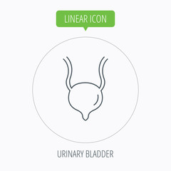 Urinary bladder icon. Human body organ sign.