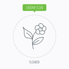 Flower with petals icon. Plant with leaves sign.