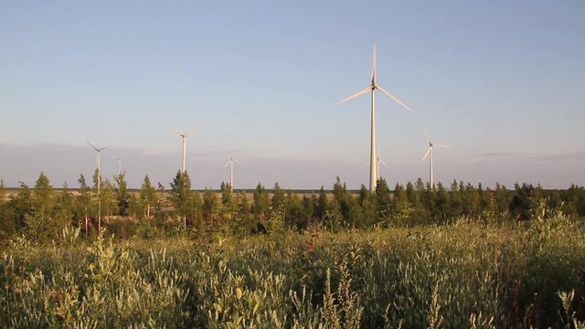 Windmills standing in a field