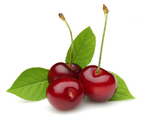 Cherry