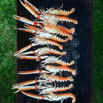 Crayfish on a barbeque