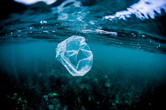 Plastic bag floating over reef in the ocean, Costa Rica