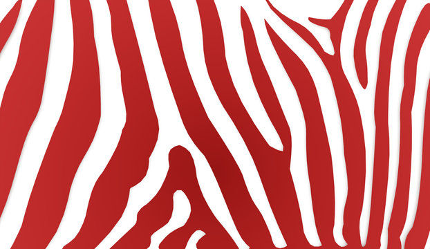 Zebra Stripes rendered