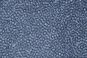 Fototapeta premium Background Of Sponge in tinted blue color shot in studio
