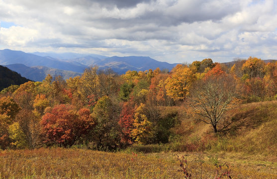 Max Patch Mountains in the Fall