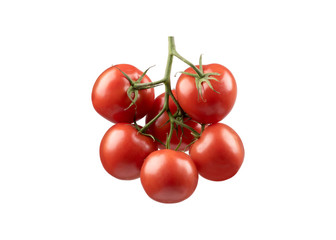 Sonnen reife Tomaten