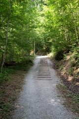 Mydtische Wanderwege Treppe