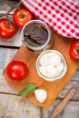 mozzarella and basilicas