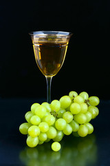  wine and grapes