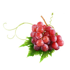 Red grapes and leaf isolated on white background (Fruit)
