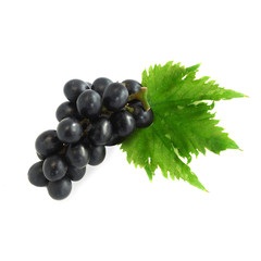 black grapes and leaf isolated on white background (Fruit)