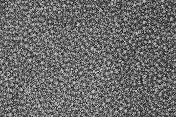 Fototapeta premium Background Of Sponge in Black and white color shot in studio