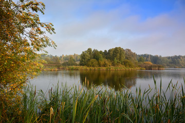 Foggy autumn lake