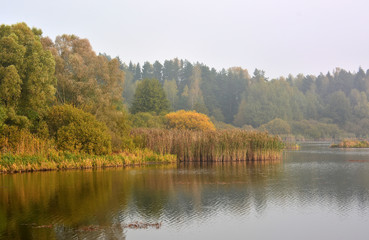 Foggy autumn lake