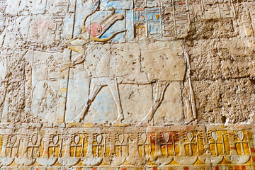 Wall Paintings in Temple of Hatshepsut in Egypt