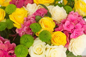 pink  hortensia flowers