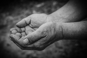 Fototapeta premium Hands