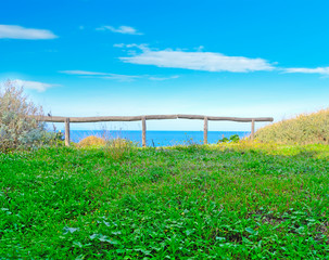 green grass by the coast in Lu Bagnu