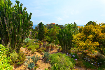 Botanical garden on Mediterranean coast of Spain, Blanes