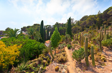 Botanical garden on Mediterranean coast of Spain, Blanes