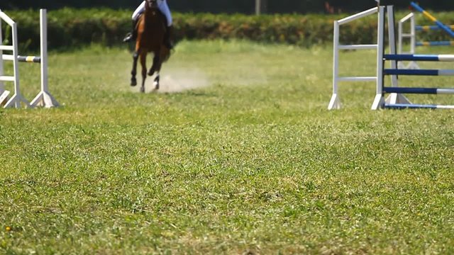 Horse jumping on a hurdle.Slow motion