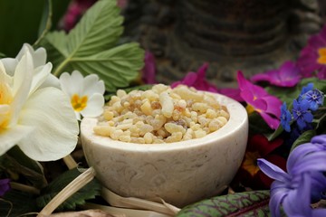 Yellow Frank Incense drops (olibanum gummi from Ethiopia) in a stone bowl ritual offering to the god buddha with different spring flowers and leaves (primrose, daffodil, blood sorrel, ...)