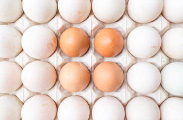 Duck and chicken eggs in carton paper on the top view.