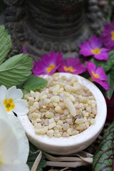 Yellow Frank Incense drops (olibanum gummi from Ethiopia) in a stone bowl ritual offering to the god buddha with different spring flowers and leaves (primrose, daffodil, blood sorrel, ...)
