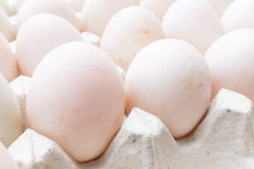 Duck eggs in carton paper.