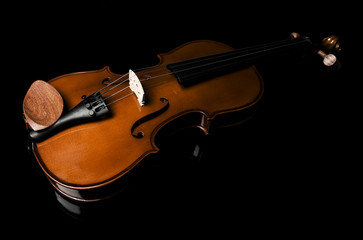 Fototapeta na wymiar Violin