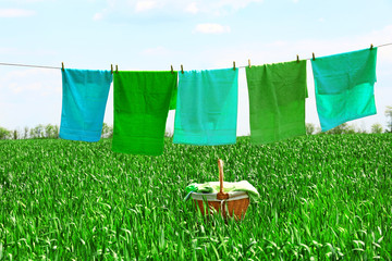 Laundry line with towels in spring field