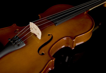Fototapeta premium Violin