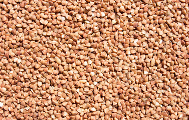 Buckwheat texture