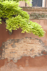 Brick Wall in Venice, Italy