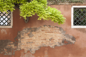 Brick Wall in Venice