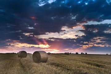 Field of Hay Bales at Sunset