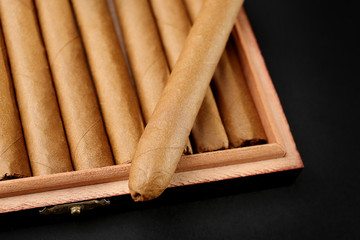 Cigars in box on table, closeup