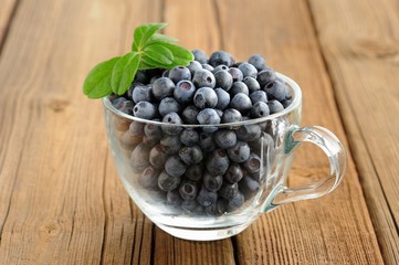 Fototapeta na wymiar Glass teacup full of fresh wild blueberries with green spring on