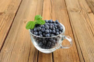 Glass teacup full of fresh wild blueberries with green spring on