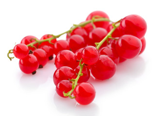 Red currants isolated on white