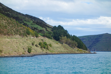 View of Akaroa