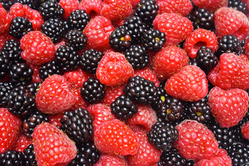 Red ripe berry and fresh blackberry