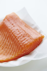 Salmon
