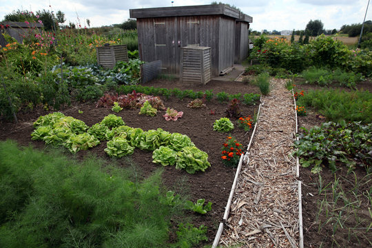 Potager