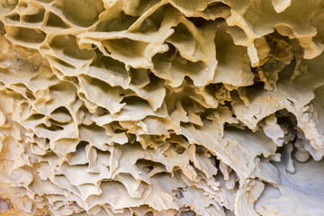 Sandstone in Jaizkibel, Basque Country (Spain)