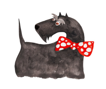 Scatterer in a red bow tie. Watercolor