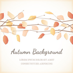 Elegant Background with Autumn Leaves at the Top