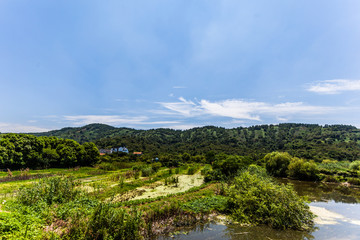 Fototapeta na wymiar teeplantagen am taihu lake